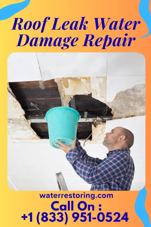 Roof Leak Water Damage Repair in Fort Belknap Agency, MT